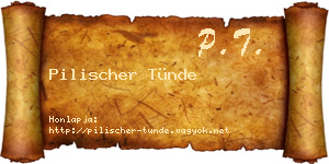 Pilischer Tünde névjegykártya